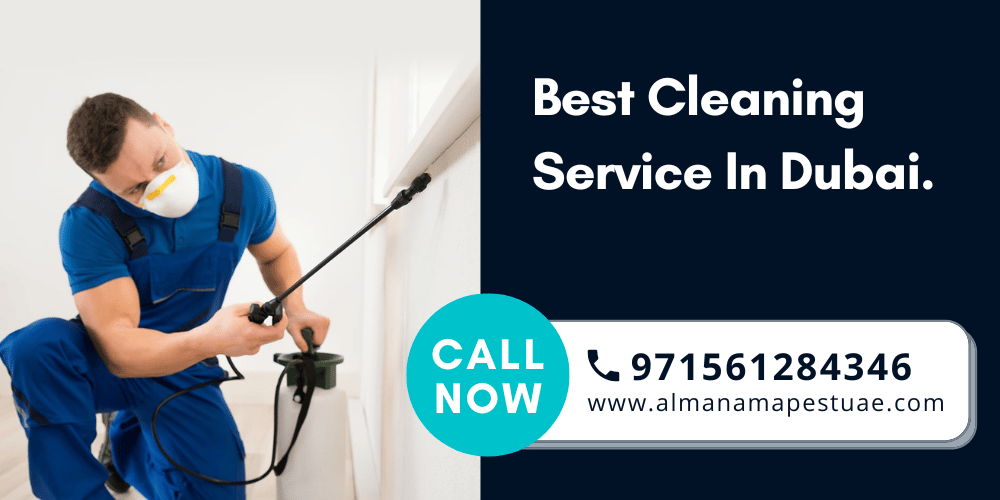 Best Cleaning Service In Dubai.