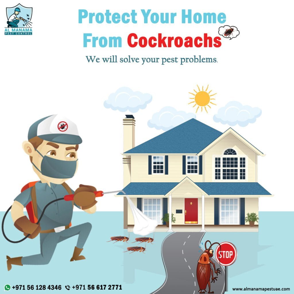 Protect your home from Cockroaches